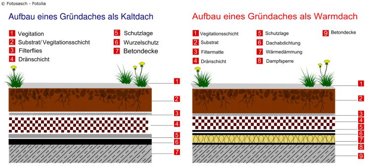 Schematischer Aufbau eines Kaltdachs und eines Warmdachs